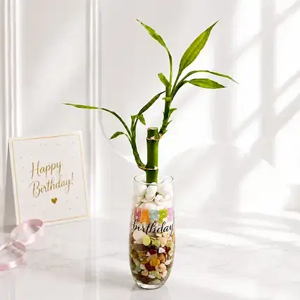 Birthday Bamboo Wishes