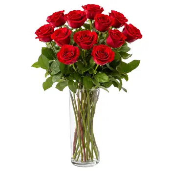Scarlet Elegance