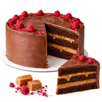 Raspberry Caramel Vegan Cake