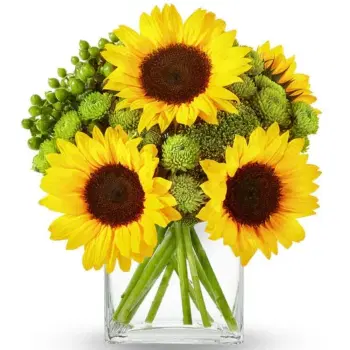 A Touch Of Sunshine