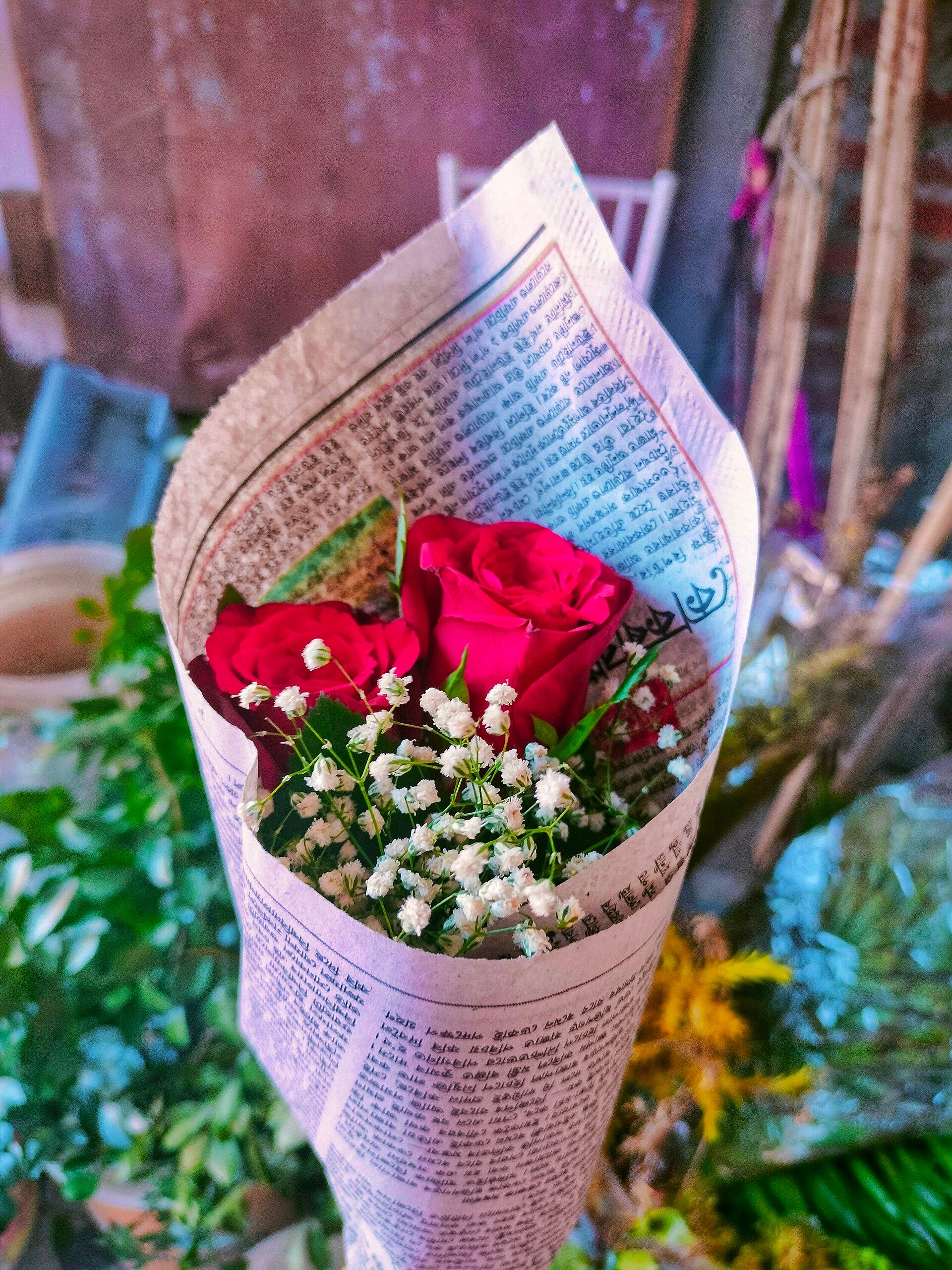 Premium Red Roses