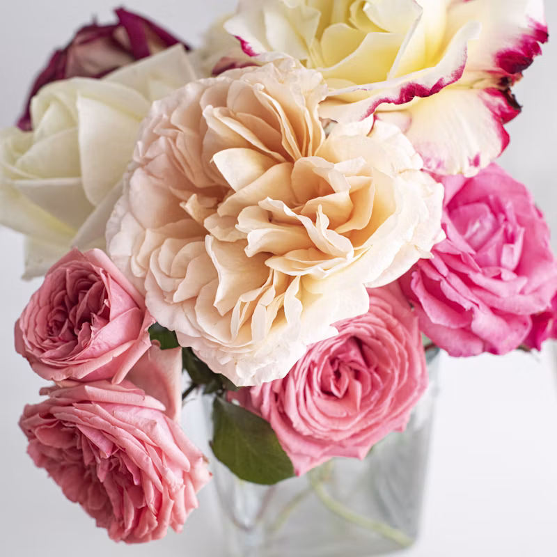 Blush White Roses Vase Set