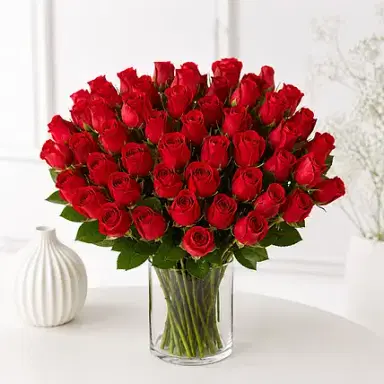 50 Red Roses